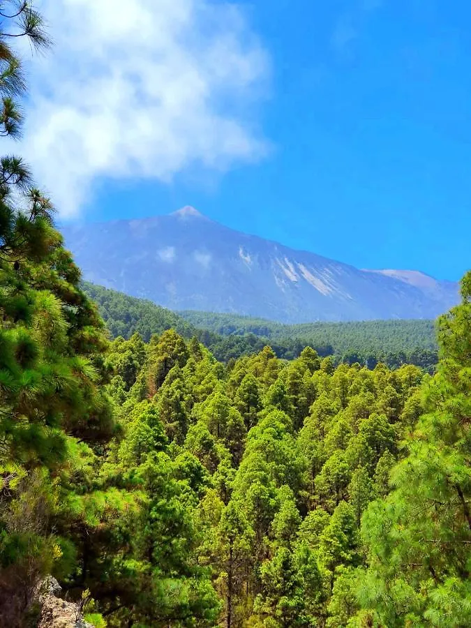 Monte Frio De Tenerife La Guancha 0*,