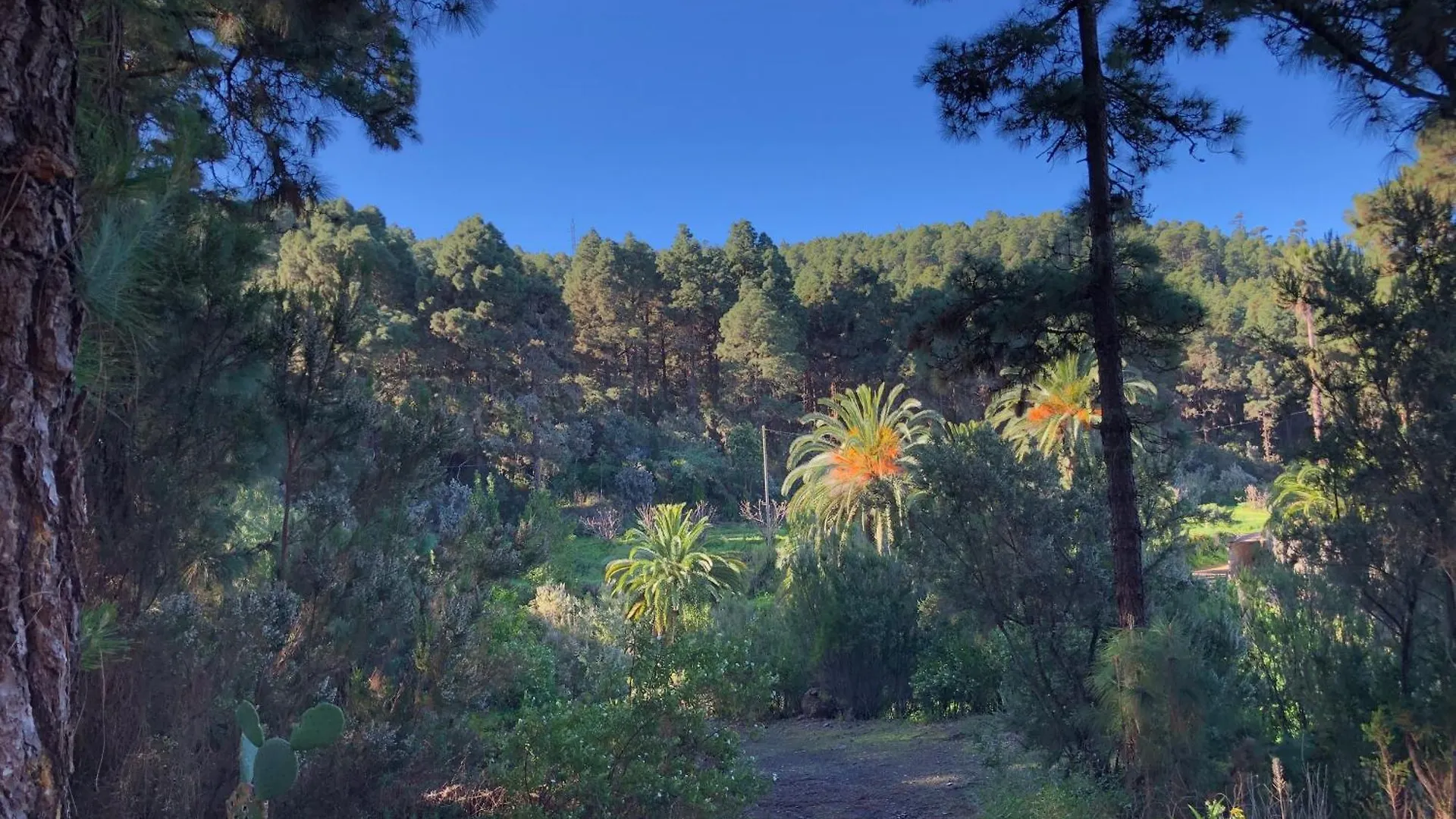 Casa de Campo Monte Frio De Tenerife La Guancha Espanha